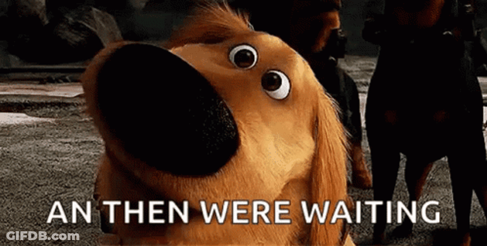 Were Waiting Up Movie Dug GIF