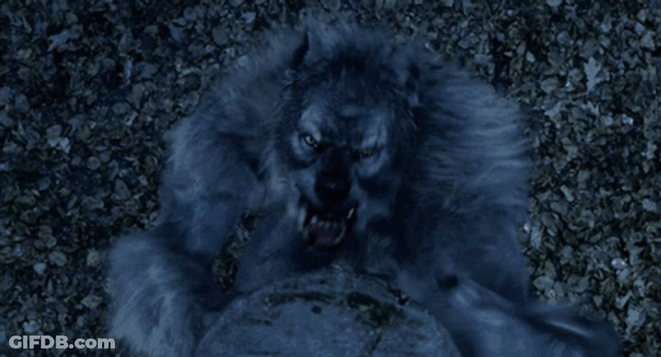 Werewolf Attacking Underworld Rise Of The Lycans GIF