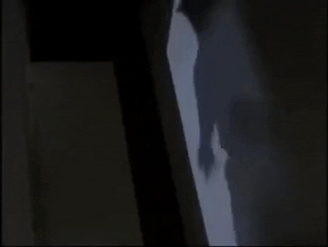 Werewolf Jumping Night Shadow GIF