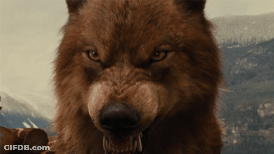 Werewolf Scary Fangs Twilight GIF