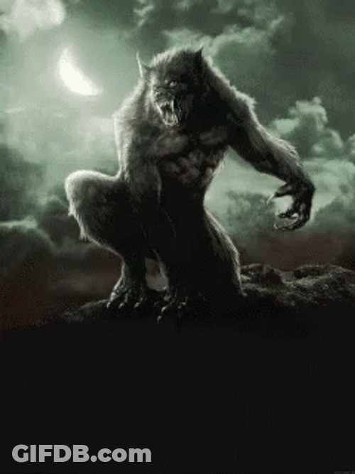 Werewolf Silhouette Burning Sky GIF
