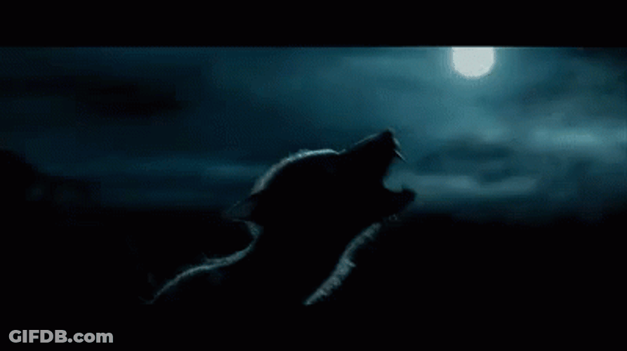 Werewolf Silhouette In Moonlight Howling GIF