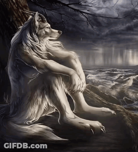 Werewolf Sitting On Rock By Water GIF