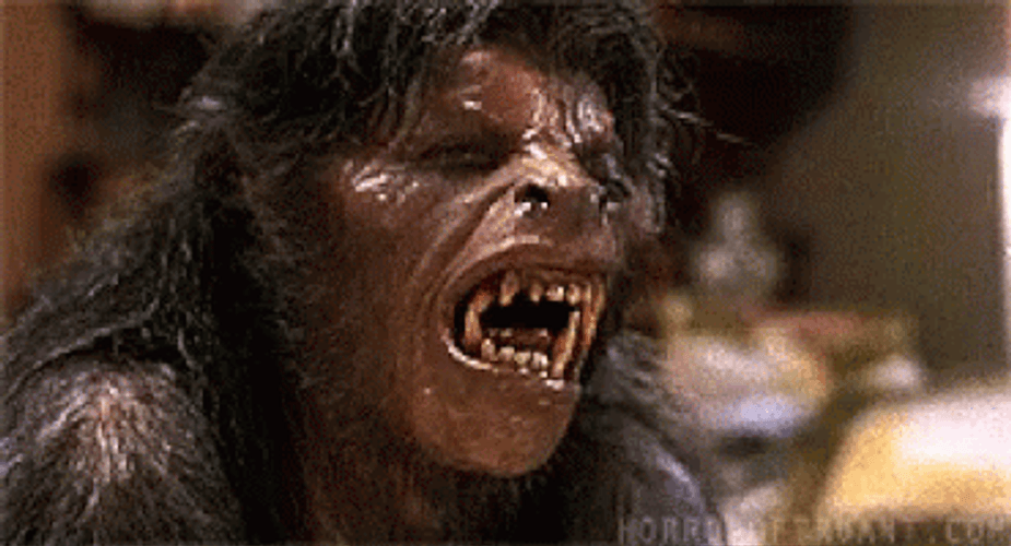 Werewolf Transformation American Werewolf In London GIF