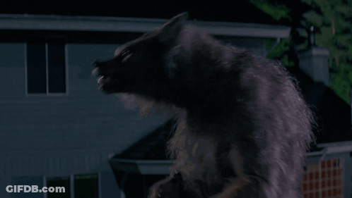 Werewolf With Open Mouth GIF