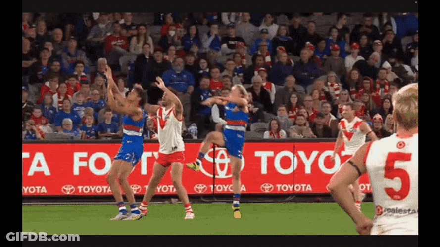 Western Bulldogs Afl GIF