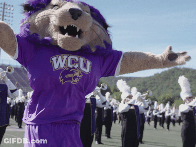 Western Carolina Mascot Dancing GIF