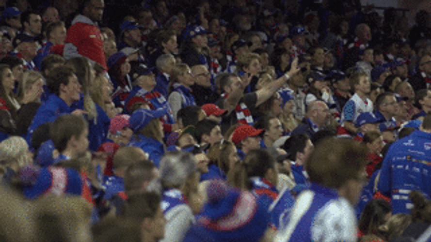 Western Carolina University Fan Stand And Cheer GIF