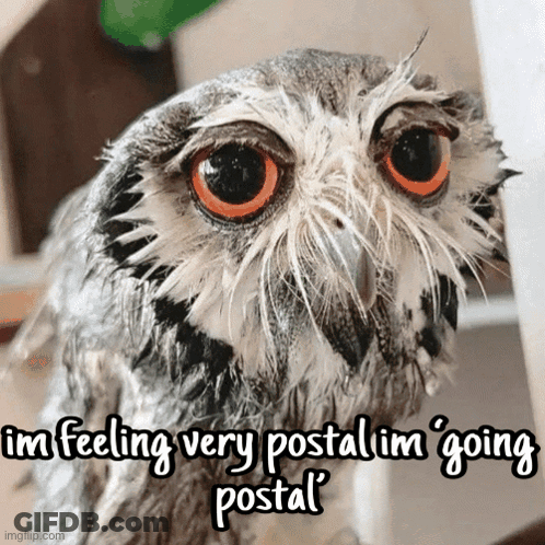 Wet Owl I'm Going Postal GIF