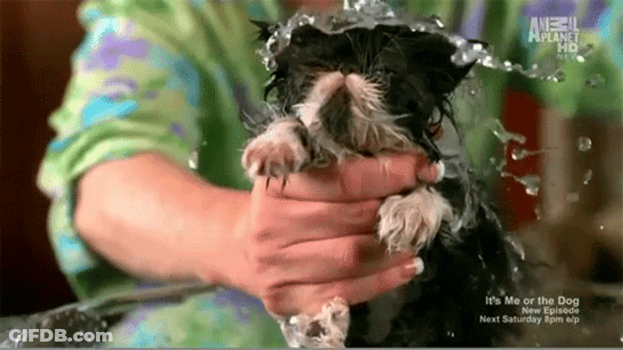 Wet Slow Motion GIF