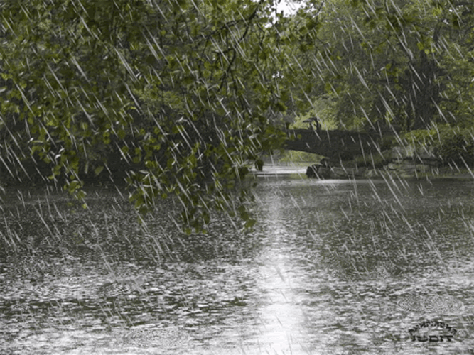Wet Street On A Rainy Day GIF