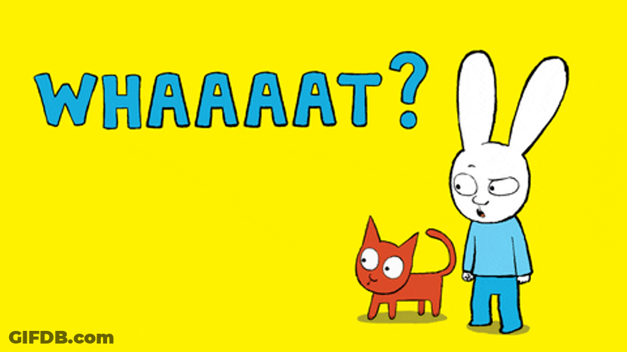 Whaaat Cartoon Bunny Orange Cat Animation GIF