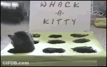 Whack-A-Kitty Sign Next To Cat GIF