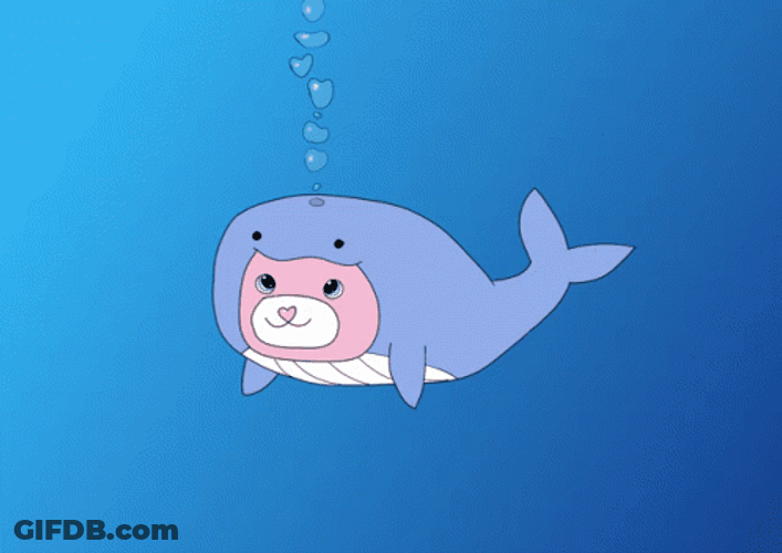 Whale Beluga Cat GIF