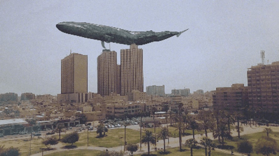 Whale Flying Animation GIF