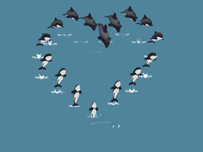 Whale Heart On Sea GIF