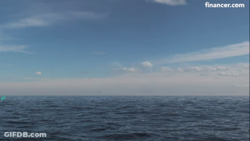 Whale In Ocean With Financer.com Logo GIF