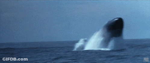 Whale Jumping Out Of Water PMX GIF