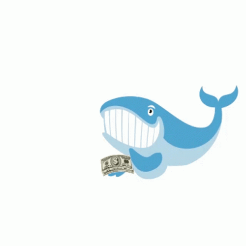 Whale Rain Money GIF