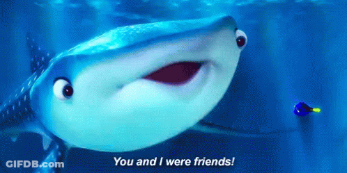 Whale Shark Saying You And I Were Friends GIF