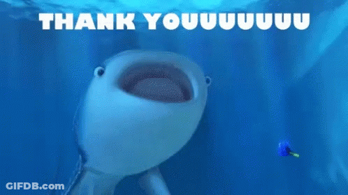 Whale Shark Swimming With Mouth Open Saying Thank You GIF