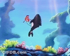 Whale Swimming In Ocean With Fish GIF