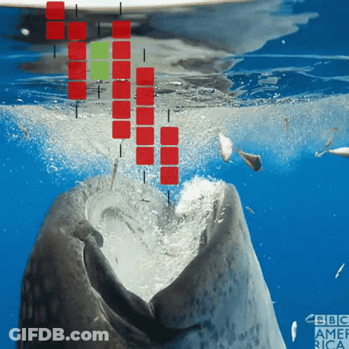 Whale With BBC America Logo GIF