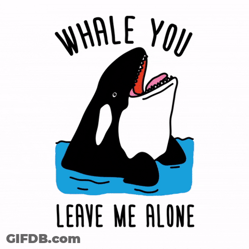 Whale You Leave Me Alone GIF