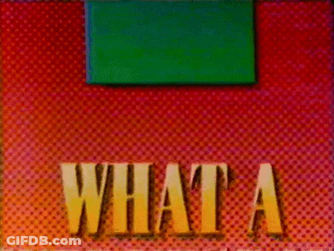 What A Hilarious Wednesday GIF