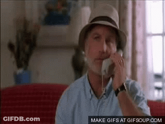 What About Bob In Window GIF