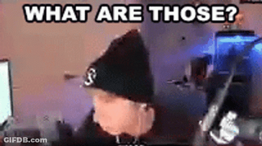 What Are Those Amazed Snood Gamer GIF