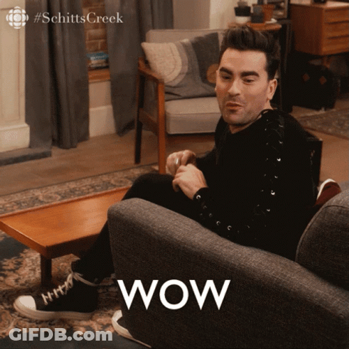 What Are Those Schitt's Creek Daniel Levy GIF