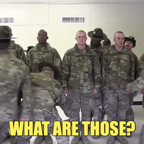 What Are Those US Army Lining Up GIF