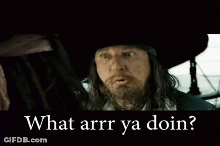 What Are You Doing Angry Hector Barbossa GIF