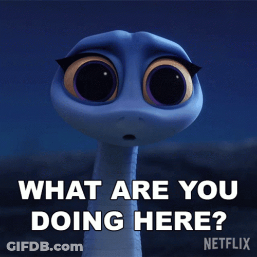 What Are You Doing Back To The Outback GIF