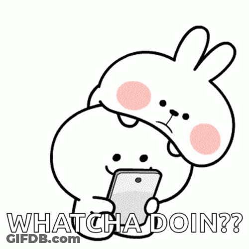 What Are You Doing Curious Bunny GIF