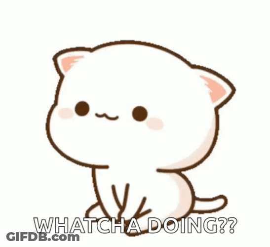 What Are You Doing Cute Anime Cat Mochi GIF