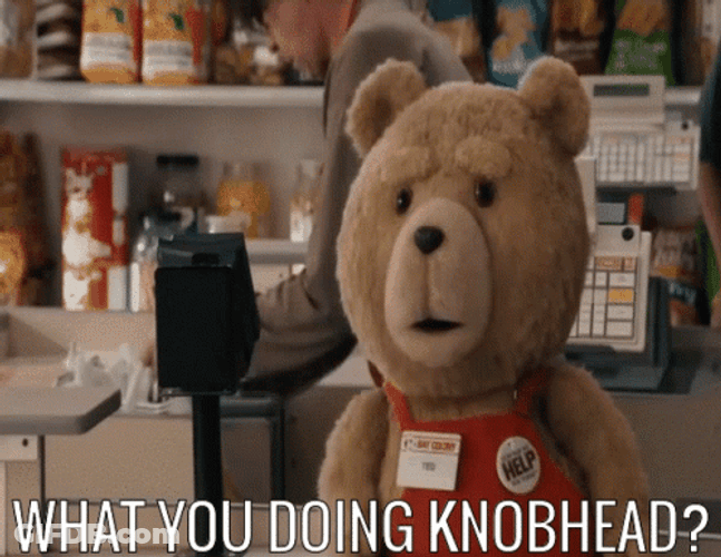 What Are You Doing Ted The Bear GIF