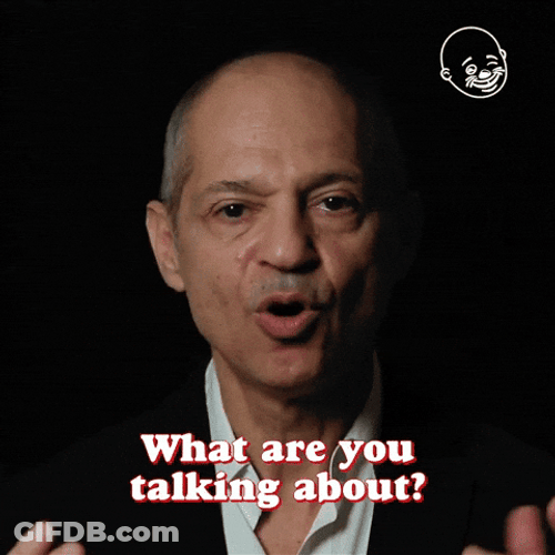 What Are You Talking About Confused GIF