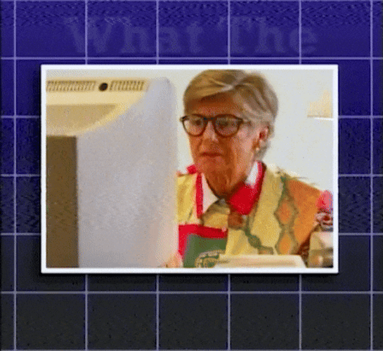 What Are You Talking About What The Heck GIF