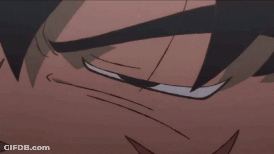What Bardock GIF