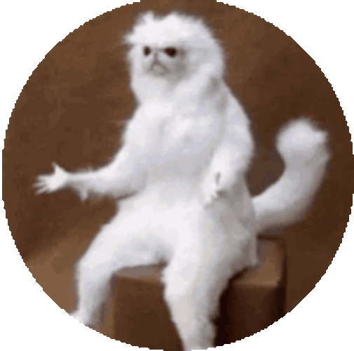 What Confused Sticker GIF