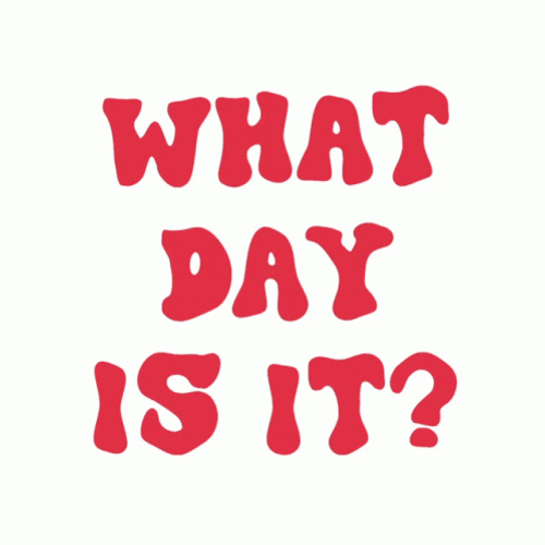 What Day Is It Race Day GIF