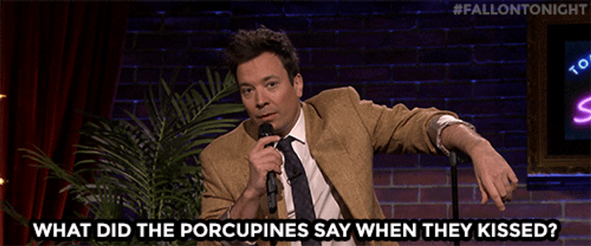 What Did The Porcupines Say When They Kissed GIF