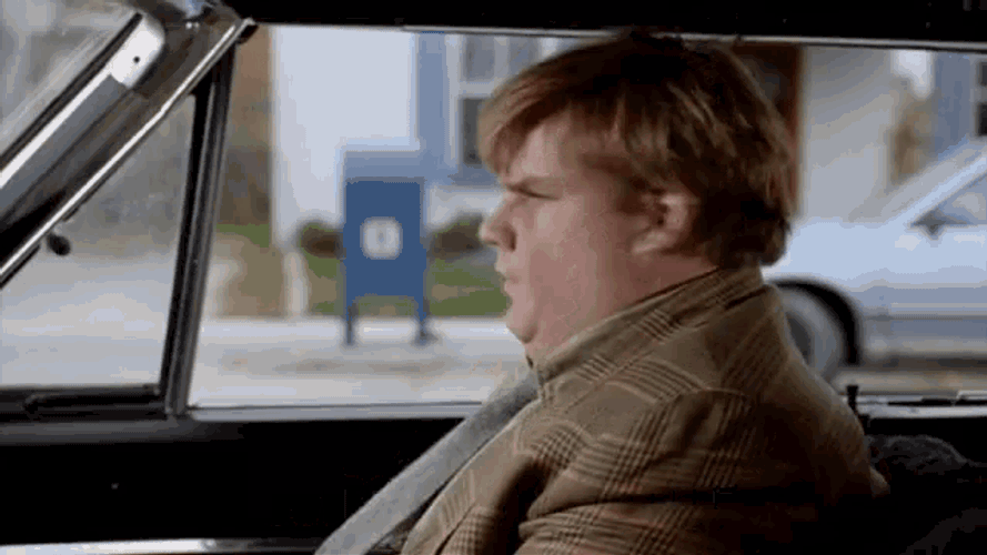 What Did You Do Messed Up GIF