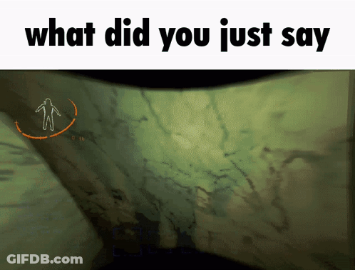 What Did You Just Say GIF