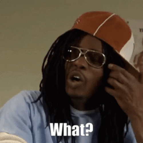 What Did You Say GIF
