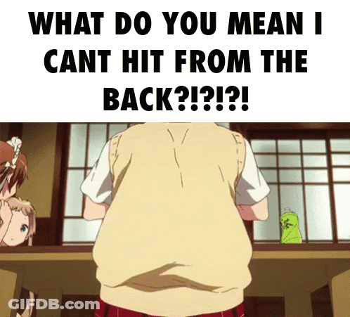 What Do You Mean I Cant Hit From The Back? GIF