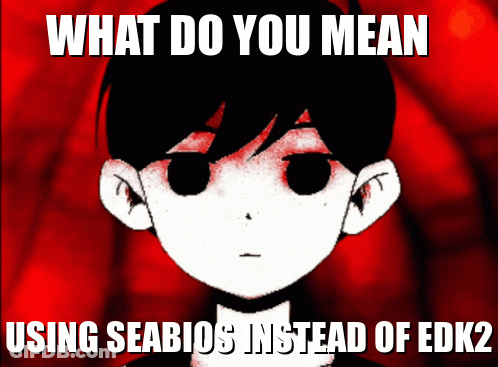 What Do You Mean Using Seabios Instead Of EDK2 Poster GIF