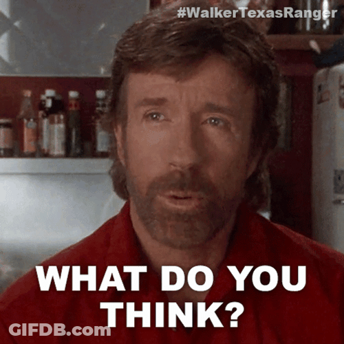 What Do You Think Chuck Norris GIF